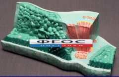 Модель "Структура листа" - fgospostavki.ru - Челябинск