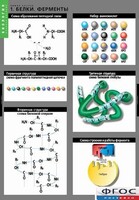 Комплект таблиц. Биология. Химия клетки. - fgospostavki.ru - Челябинск