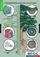 Комплект таблиц. Биология. Растение – живой организм. - fgospostavki.ru - Челябинск