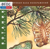 Ботаника. Микрофотографии. (Цифровая база изображений) - fgospostavki.ru - Челябинск
