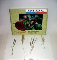 Гербарий "Культурные растения" (28 видов) - fgospostavki.ru - Челябинск