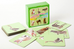 Набор магнитных карточек "Устный счет" (фон зеленый) - fgospostavki.ru - Челябинск