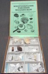 Коллекция "Многообразие раковин моллюсков" - fgospostavki.ru - Челябинск