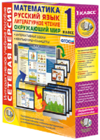 Сетевая версия. 1 класс. Математика, Русский язык, Окружающий мир, Литературное чтение - fgospostavki.ru - Челябинск