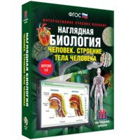 Наглядная биология. 8 - 9 классы. Человек. Строение тела человека - fgospostavki.ru - Челябинск