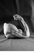 Рука согнутая в локте (гипс) - fgospostavki.ru - Челябинск