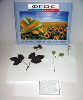 Гербарий "Сельскохозяйственные растения" (28 видов) - fgospostavki.ru - Челябинск