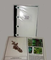 Гербарий "Эволюция высших растений" (ламинированный) - fgospostavki.ru - Челябинск