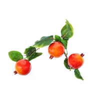 Ветка муляжей "Гранат" - fgospostavki.ru - Челябинск