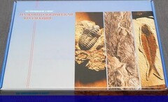 Коллекция "Палеонтологическая" (16 образцов) - fgospostavki.ru - Челябинск