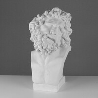 Бюст Лаокоона (гипс) - fgospostavki.ru - Челябинск