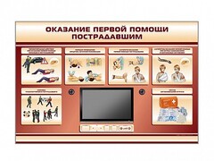 Многофункциональный интерактивный стенд-тренажер "Оказание первой помощи пострадавшим" для учащихся общеобразовательных учреждений - fgospostavki.ru - Челябинск