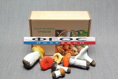 Набор муляжей грибов - fgospostavki.ru - Челябинск