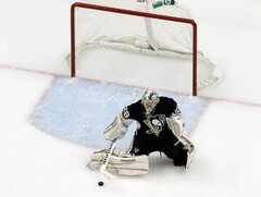 Гашение (отбойники) для хоккейных ворот - fgospostavki.ru - Челябинск