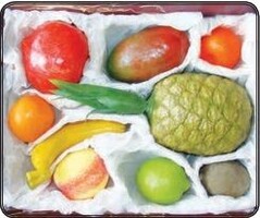 Набор муляжей тропических фруктов - fgospostavki.ru - Челябинск