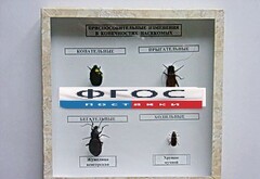 Коллекция энтомологическая "Приспособительные изменения в конечностях насекомых" - fgospostavki.ru - Челябинск