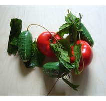 Ветка муляжей "Ассорти" (овощи) - fgospostavki.ru - Челябинск