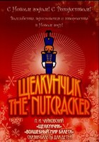 DVD "Щелкунчик. Волшебный мир балета" сказка-балет для детей - fgospostavki.ru - Челябинск