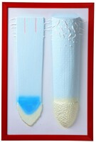 Барельефная модель "Клеточное строение корня" - fgospostavki.ru - Челябинск