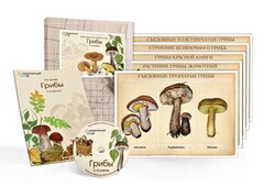 Комбинированное наглядное пособие  «Грибы» - fgospostavki.ru - Челябинск