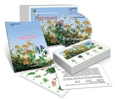 Комбинированное наглядное пособие «Растения» - fgospostavki.ru - Челябинск