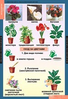 Комплект таблиц. Окружающий мир 1 класс. - fgospostavki.ru - Челябинск