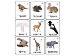 Набор магнитных карточек по музыке "Животные" (9 штук) - fgospostavki.ru - Челябинск