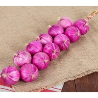 Муляжи "Связка лука" - fgospostavki.ru - Челябинск