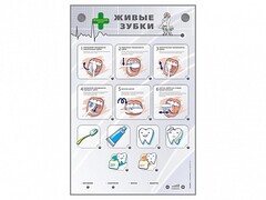 Интерактивный стенд "Живые зубки" - fgospostavki.ru - Челябинск
