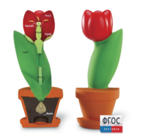 Модель цветка - fgospostavki.ru - Челябинск