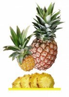 Комплект карточек "Запоминай, играй, считай" - Фрукты - fgospostavki.ru - Челябинск