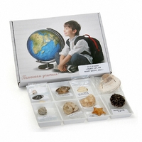 Коллекция "Обитатели морского дна" - fgospostavki.ru - Челябинск