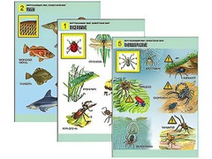 Комплект таблиц "Окружающий мир. Животный мир" (8 таблиц, А1, ламинированные) - fgospostavki.ru - Челябинск