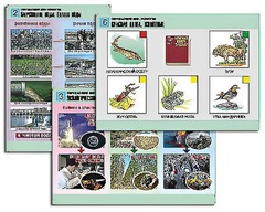 Комплект таблиц "Окружающий мир. Экология" (6 таблиц, А1, ламинированные) - fgospostavki.ru - Челябинск