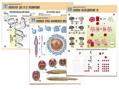 Комплект таблиц по биологии демонстрационных "Общая биология 1" (16 таблиц, формат А1, ламинированные) - fgospostavki.ru - Челябинск
