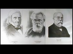 Портреты биологов (26 штук, формат А3) - fgospostavki.ru - Челябинск