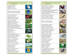 Комплект карточек (10) "Обучающий калейдоскоп. Природа" - fgospostavki.ru - Челябинск