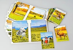 Настольно-печатная игра "Вокруг света" - fgospostavki.ru - Челябинск