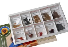 Коллекция "Плоды сельскохозяйственных растений" - fgospostavki.ru - Челябинск