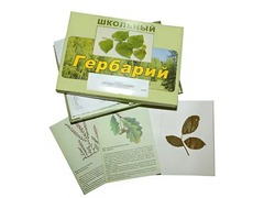 Гербарий "Дикорастущие растения" (30 видов, с иллюстрациями) - fgospostavki.ru - Челябинск