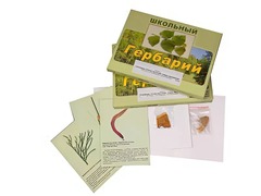 Гербарий "Основные группы растений. Грибы. Лишайники" (53 листа, с иллюстрациями и фотографиями) - fgospostavki.ru - Челябинск
