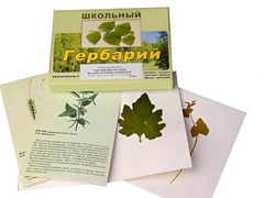 Гербарий "Систематика растений. Высшие споровые и семенные" (раздаточный) - fgospostavki.ru - Челябинск