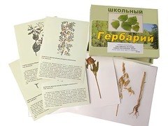 Гербарий "Систематика растений. Семейство Бобовые. Злаки" (раздаточный) - fgospostavki.ru - Челябинск