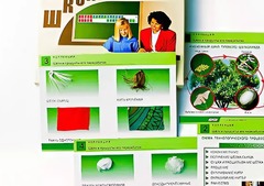 Коллекция "Шелк и продукты его переработки" (средняя школа) - fgospostavki.ru - Челябинск