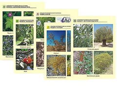 Гербарий фотографический по географии - fgospostavki.ru - Челябинск