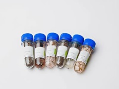 Набор № 6 ОС Щелочные и щелочноземельные металлы - fgospostavki.ru - Челябинск