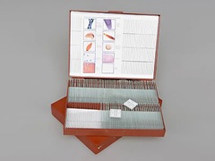 Комплект микропрепаратов "Общая биология" - fgospostavki.ru - Челябинск