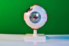 Модель глаза - fgospostavki.ru - Челябинск