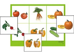 Логопедическое лото "Овощи" (4 планшета, 24 карточки, цветное, ламинированное) - fgospostavki.ru - Челябинск