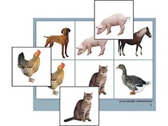 Логопедическое лото "Домашние животные" (4 планшета, 24 карточки, цветное, ламинированное) - fgospostavki.ru - Челябинск